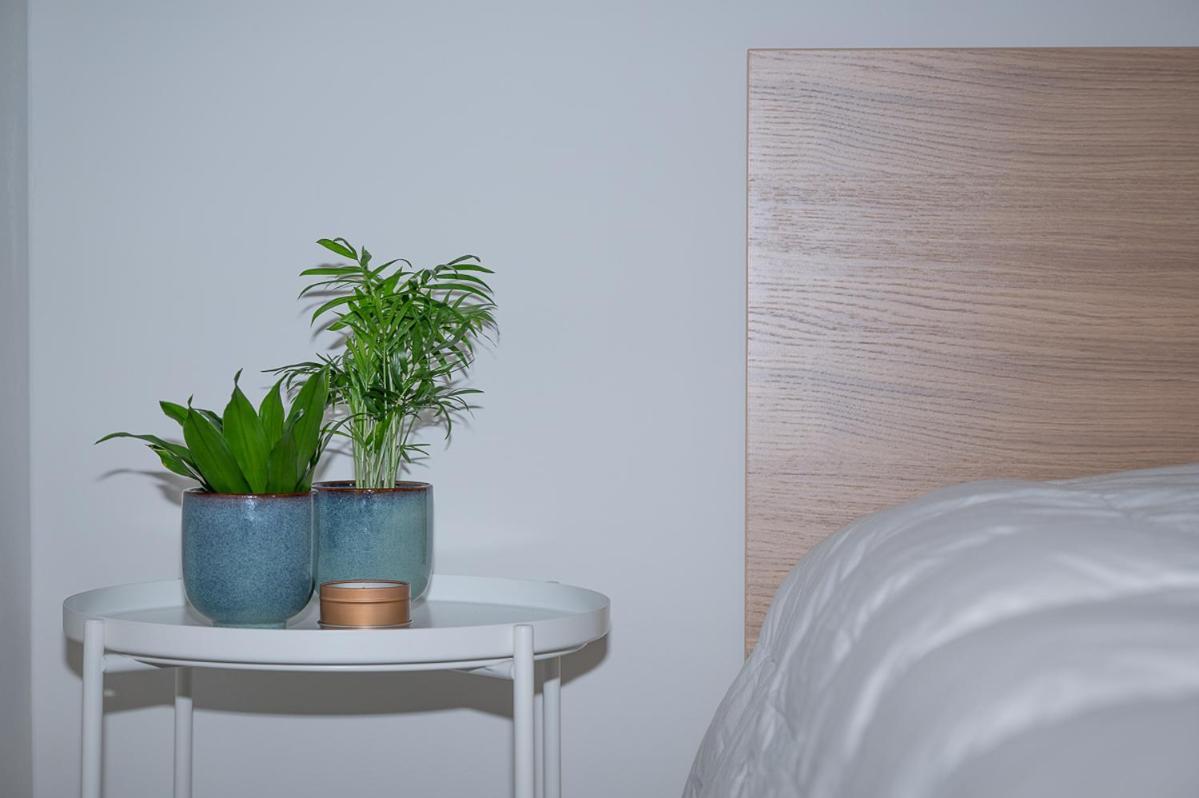 Trendy Apartments As Base To Discover גנט מראה חיצוני תמונה