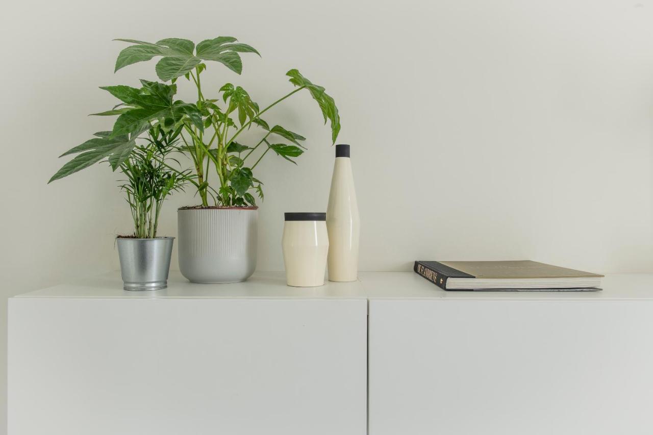 Trendy Apartments As Base To Discover גנט מראה חיצוני תמונה