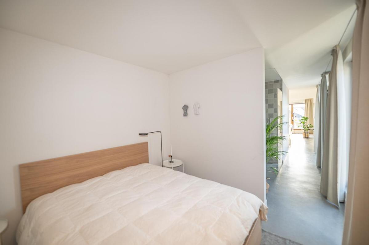 Trendy Apartments As Base To Discover גנט מראה חיצוני תמונה