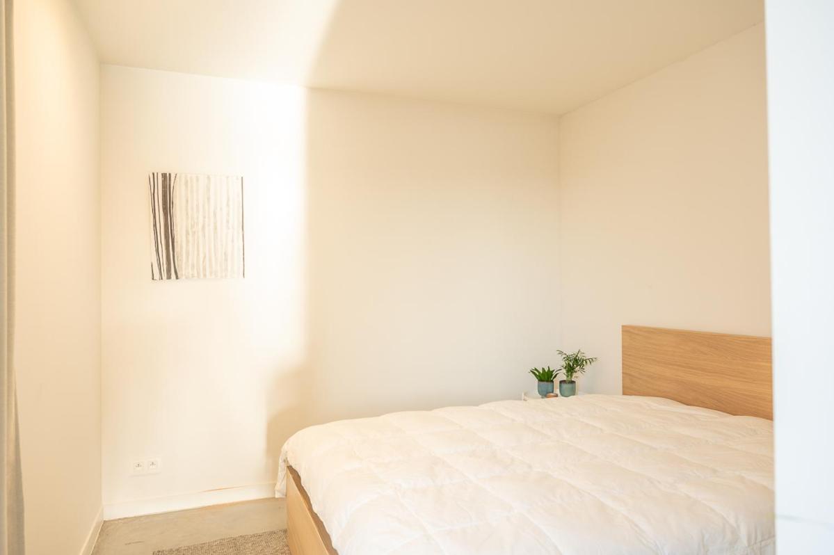 Trendy Apartments As Base To Discover גנט מראה חיצוני תמונה